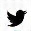 X (Twitter) icon